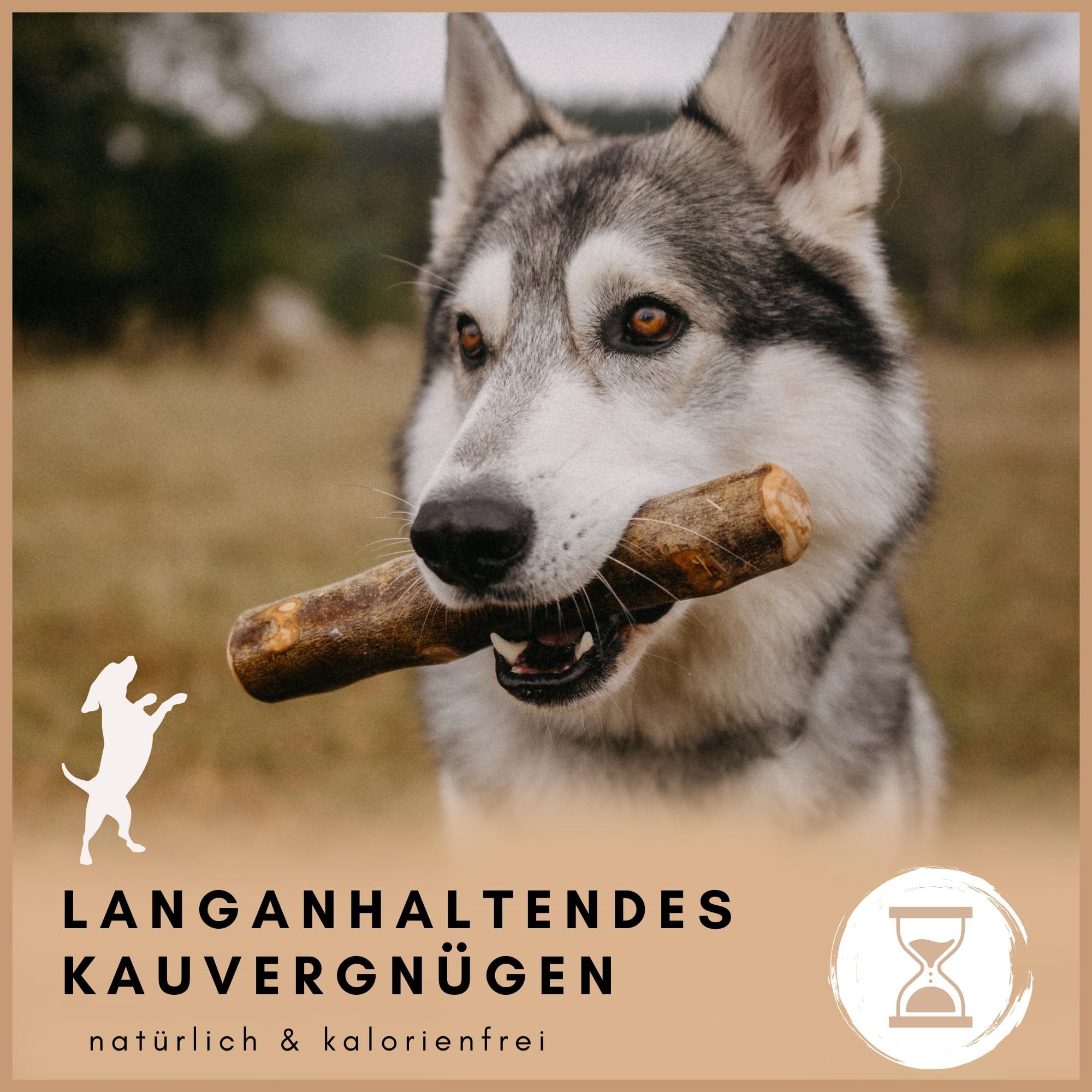 Supravit Kauspielzeug Olivenholz Kauholz für Hunde – natürlich & langlebig