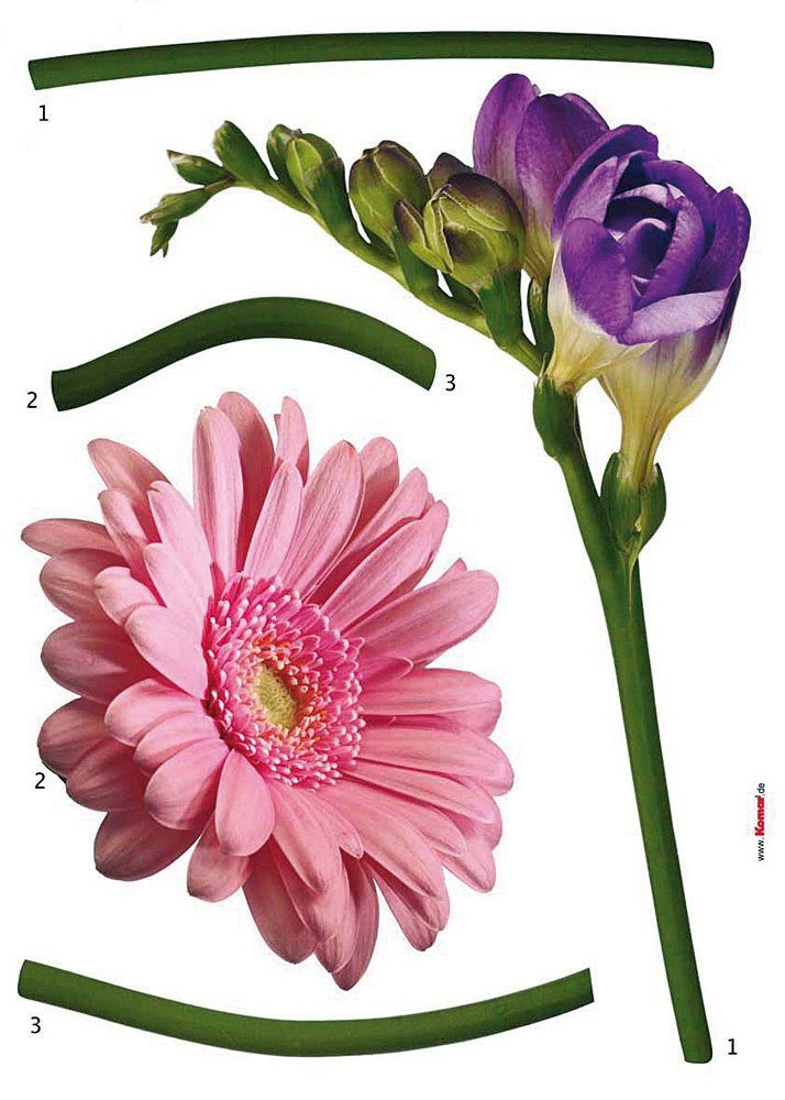 Komar Wandtattoo Fiore - Размер 50 x 70 cm (5 St), selbstklebend, Wandsticker