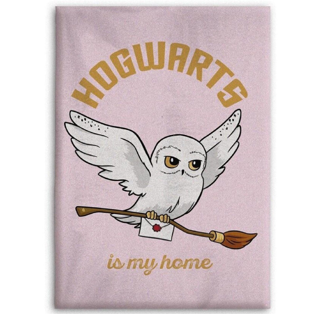 Wohndecke Harry Potter Hedwig Flauschdecke Kuscheldecke 110 x 150 cm, AY!Max