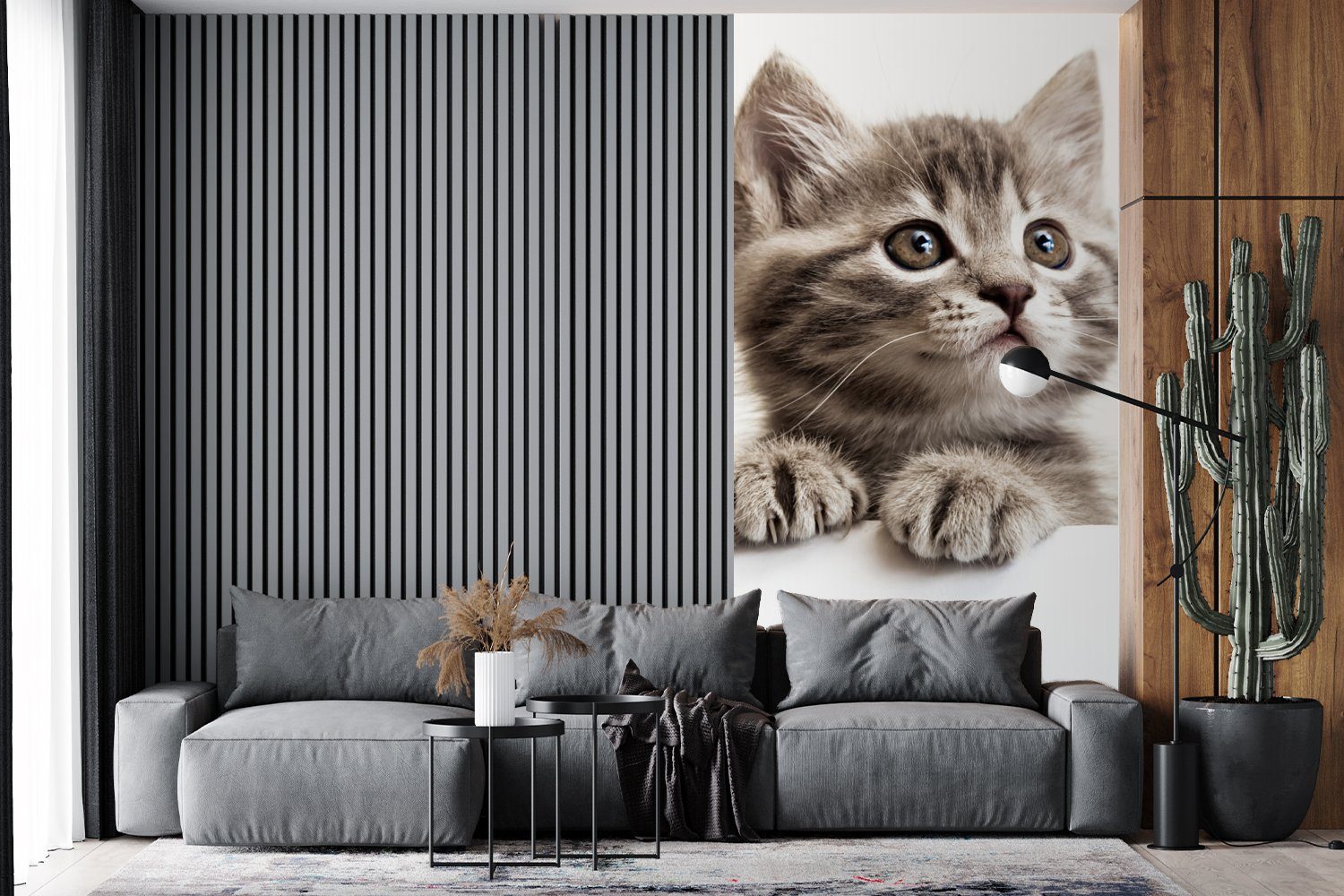 Katze Grau (2 MuchoWow Küche, - Schlafzimmer Tiere, St), bedruckt, Fototapete - für Vliestapete Fototapete Wohnzimmer Matt,
