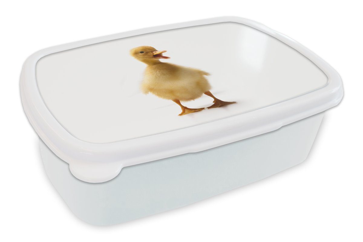 Kunststoff, MuchoWow Brotdose, Baby-Ente und für (2-tlg), Erwachsene, und Brotbox Lunchbox Kinder kommuniziert, für Mädchen Jungs weiß