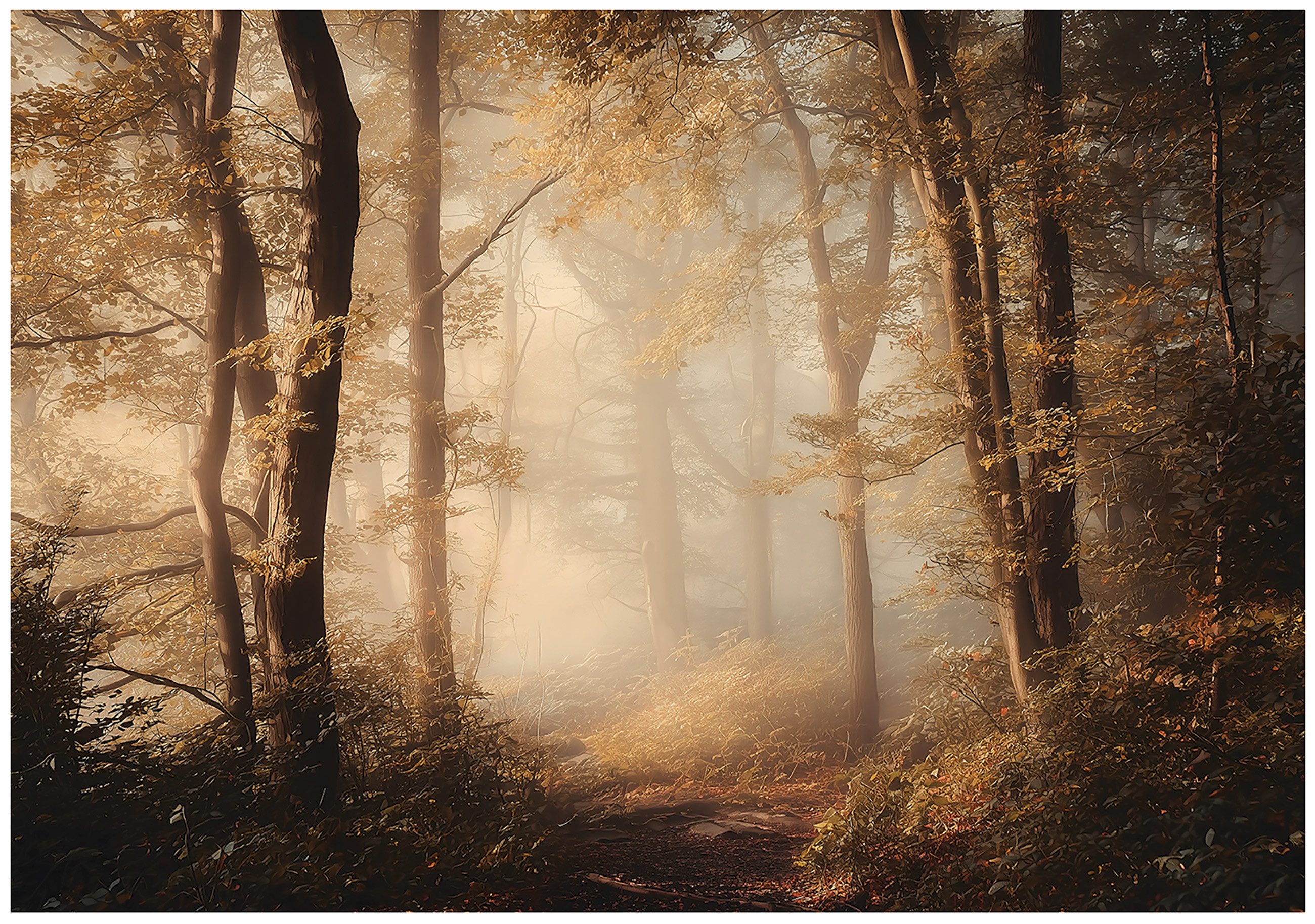 Fototapete Wald Bäume Orange Vlies Tapete Wohnzimmer Schlafzimmer Wandtapete