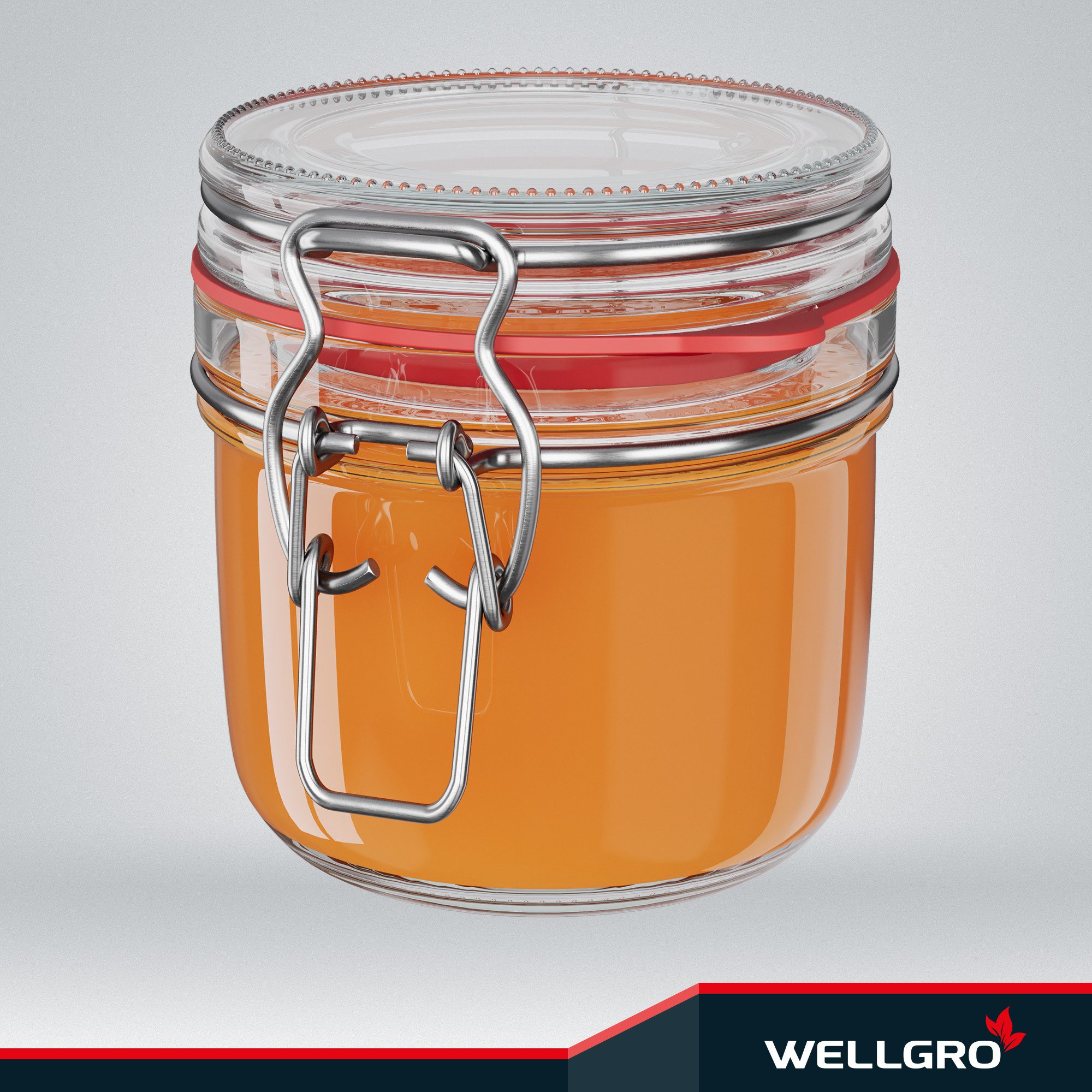 Wellgro Vorratsglas Einmachgläser mit Bügelverschluss rund, Fermentierglas, (12-tlg)