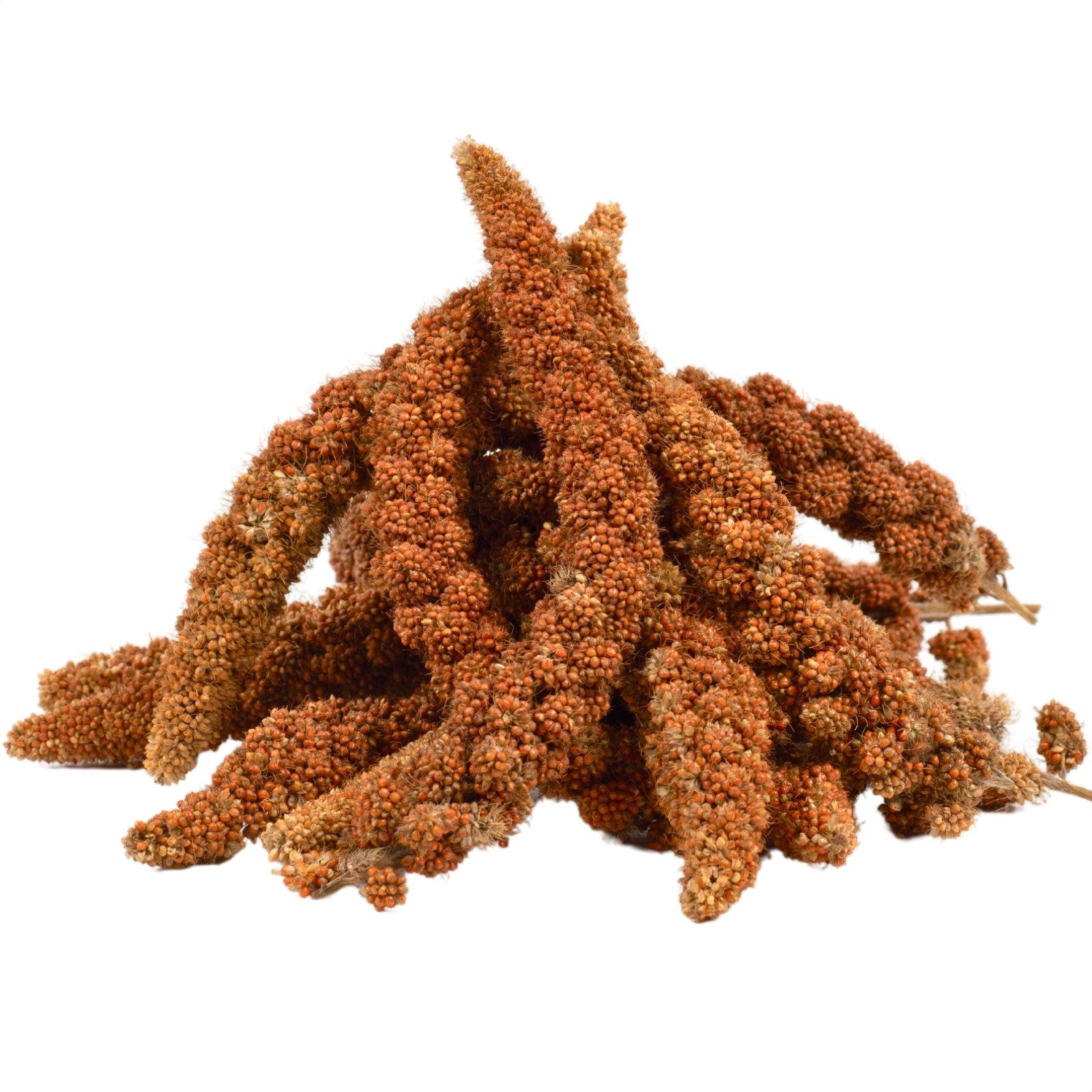 Lyra Pet 1 kg Lyra Pet® Kolbenhirse rot, für: Wildvogel, Haus- und Nutztier