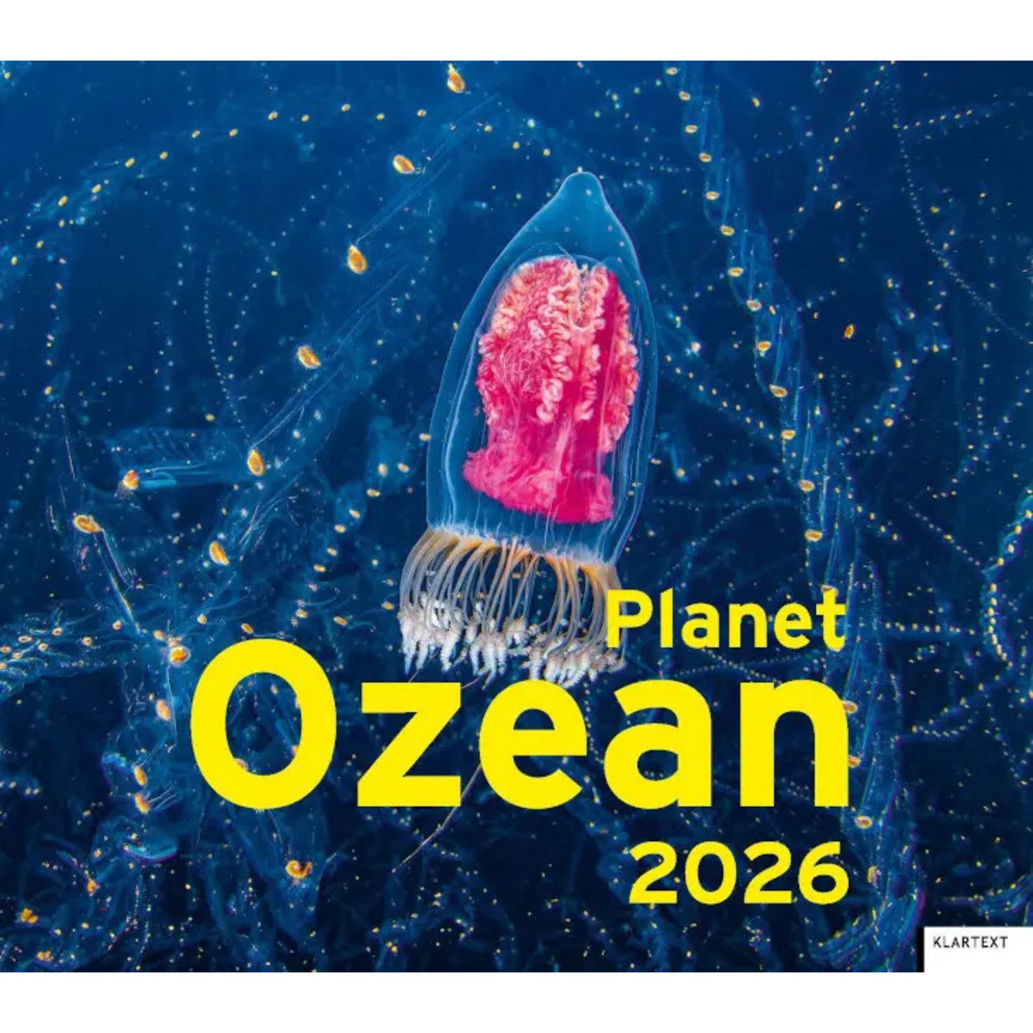Wandkalender Kalender Planet Ozean 2026