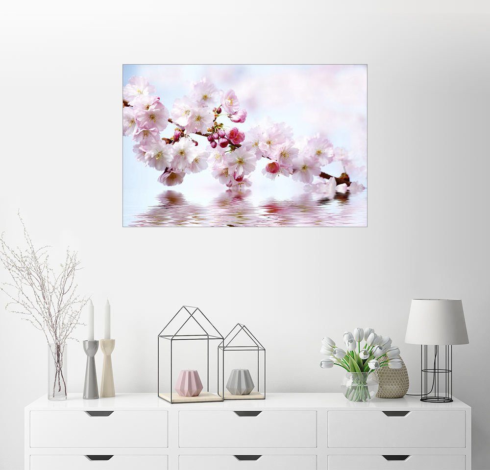 Posterlounge Wandbild, Kirschblüten online kaufen | OTTO