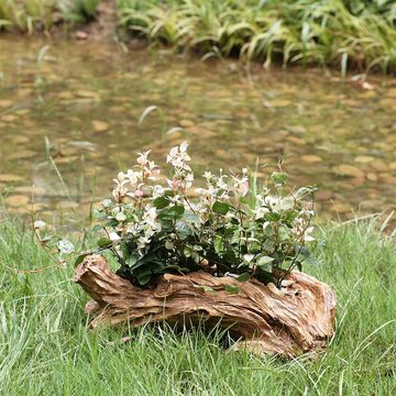 DOPWii Blumentopf Künstliches Treibholz Sukkulenten Pflanzgefäß, Harz Stumpf Skulptur, rustikal Pflanzgefäß mit Entwässerungsloch, 32,5*15*11cm