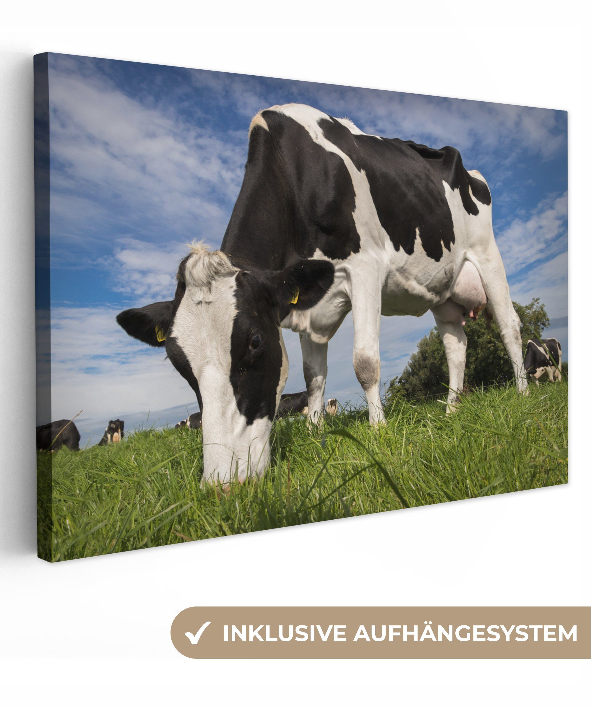 OneMillionCanvasses® Leinwandbild Kuh - Schwarz - Weiß - Lebensmittel, (1 St), Wandbild Leinwandbilder, Aufhängefertig, Wanddeko, 30x20 cm bunt