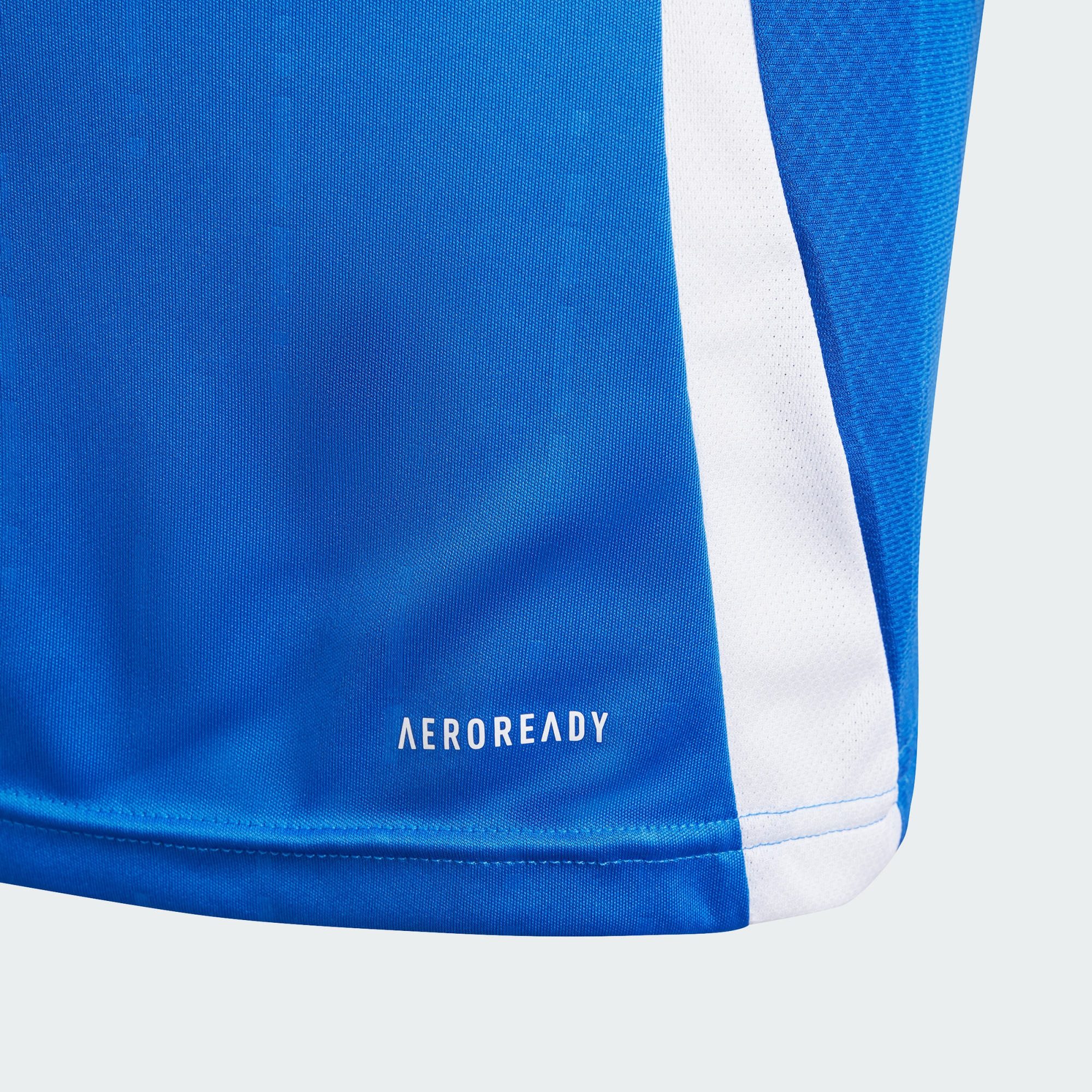 adidas Performance Fußballtrikot ITALIEN 24 HEIMTRIKOT (1-tlg)