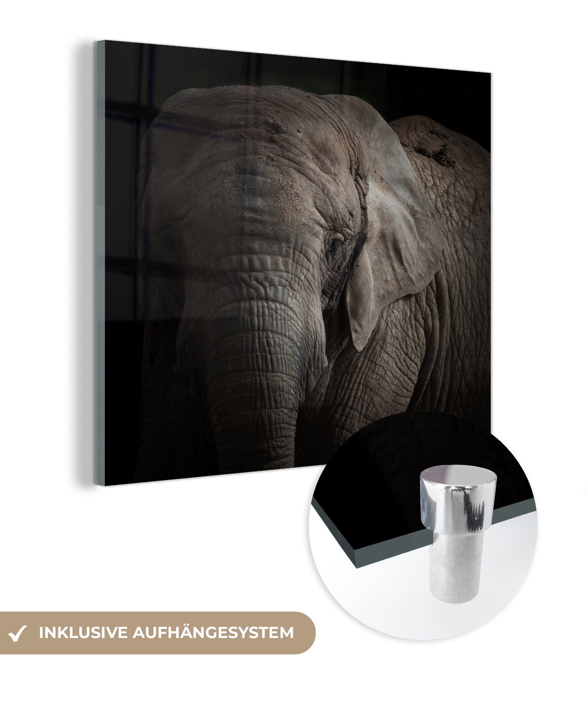 MuchoWow Acrylglasbild Elefant - Porträt - Tiere - Schwarz, (1 St), Glasbilder - Bilder auf Glas Wandbild - Foto auf Glas - Wanddekoration