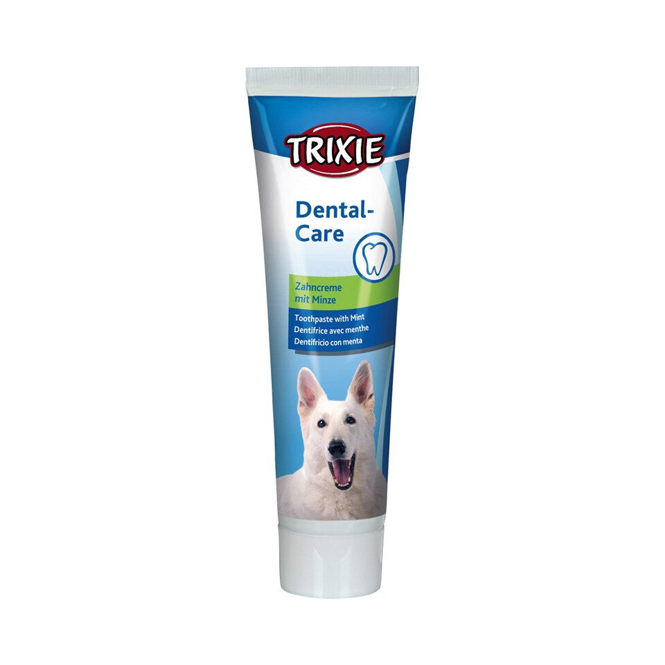 Tierzahnbürste Zahncreme für Hunde mit Minzgeschmack 100 g