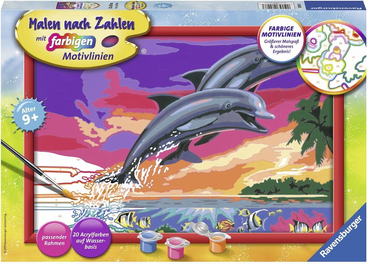 Image of Malen nach Zahlen, 21x31 cm, mit farbigen Motivlinien, Welt der Delfine