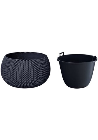 PROSPERPLAST Бак для цветов »Splofy Bowl&laqu...