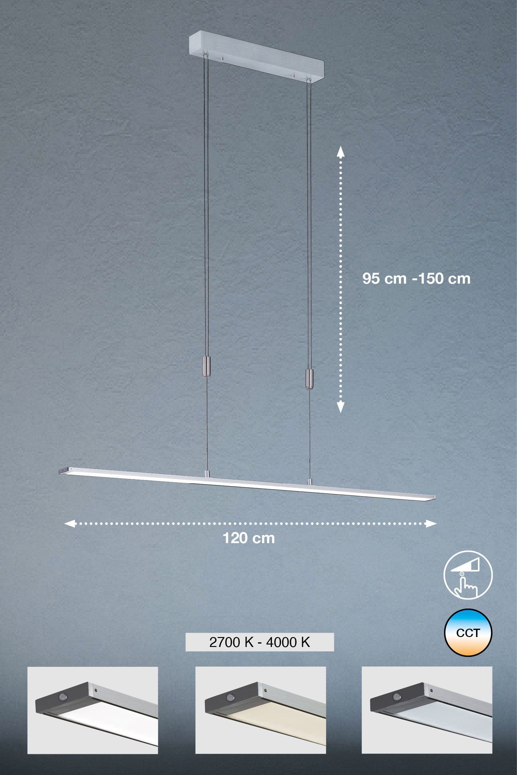 & LED integriert, LED Metz, Warmweiß Neutralweiß, fest FISCHER HONSEL Dimmfunktion, Pendelleuchte