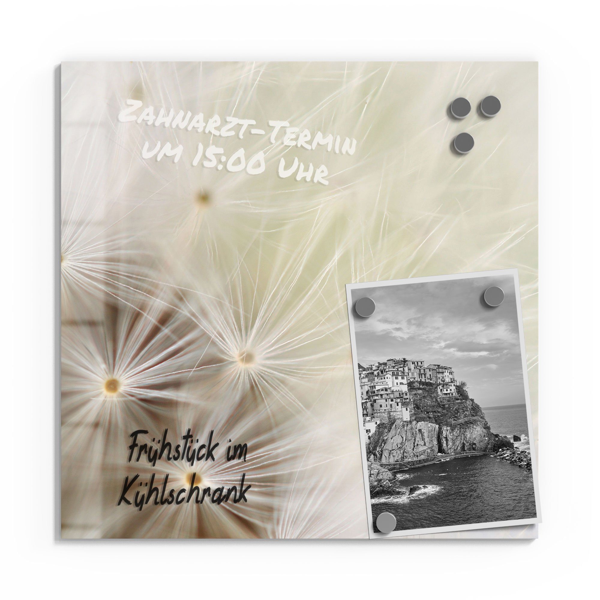 DEQORI Magnettafel 'Pusteblume ganz nah', Whiteboard Pinnwand beschreibbar