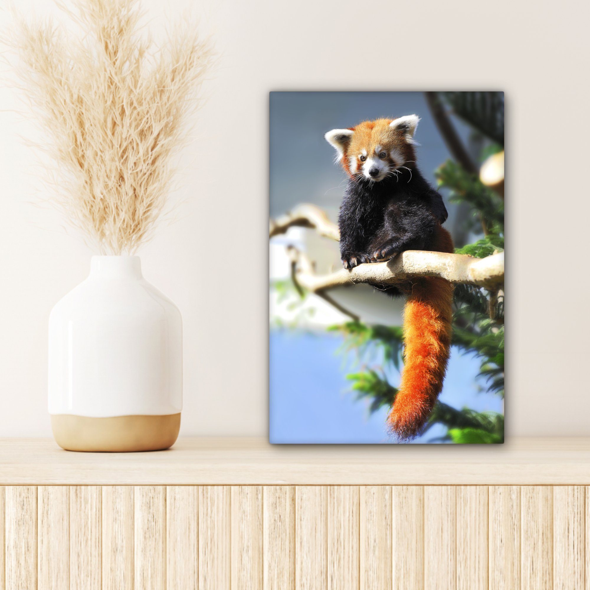Leinwandbild Leinwandbild Gemälde, Sonne cm inkl. (1 - - St), fertig Panda Zweig, bespannt OneMillionCanvasses® Roter Zackenaufhänger, 20x30