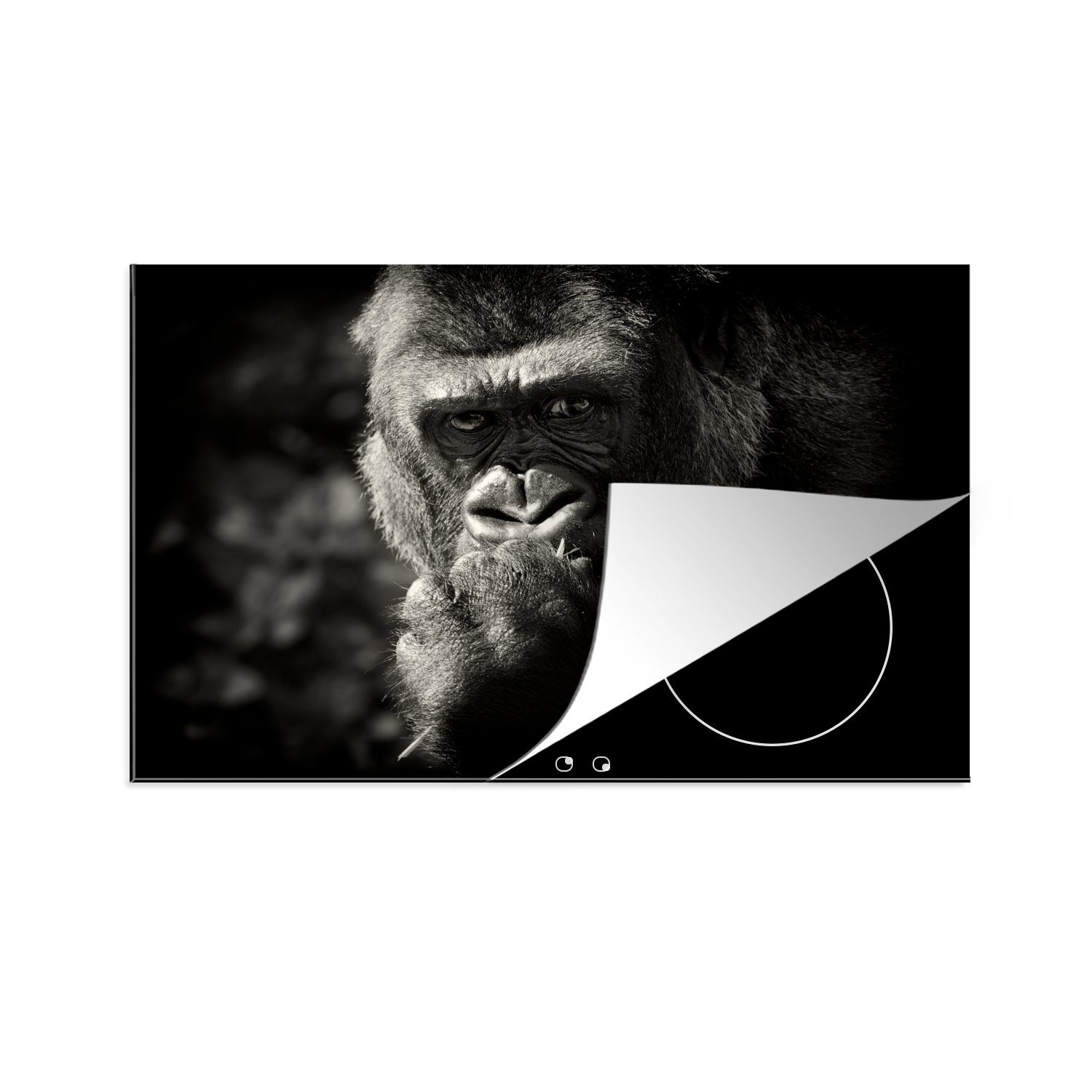 MuchoWow Herdblende-/Abdeckplatte Tierprofil Gorilla in schwarz und weiß, Vinyl, (1 tlg), 81x52 cm, Induktionskochfeld Schutz für die küche, Ceranfeldabdeckung
