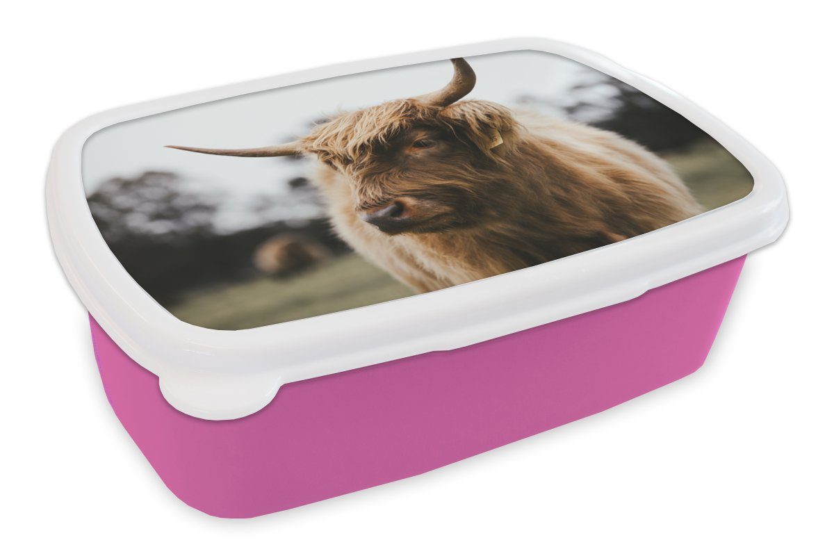 MuchoWow Lunchbox Schottischer Highlander - Tiere - Hörner, Kunststoff, (2-tlg), Brotbox für Erwachsene, Brotdose Kinder, Snackbox, Mädchen, Kunststoff rosa