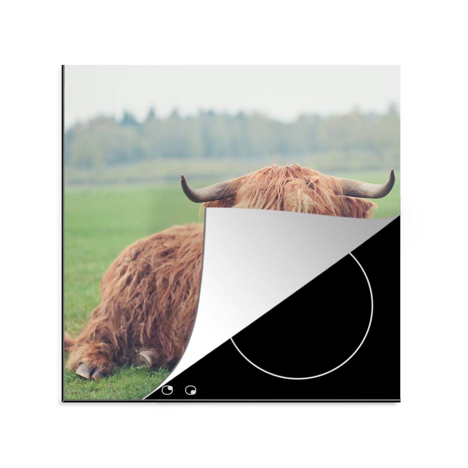 MuchoWow Herdblende-/Abdeckplatte Schottischer Highlander - Kuh - Landschaft, Vinyl, (1 tlg), 78x78 cm, Ceranfeldabdeckung, Arbeitsplatte für küche