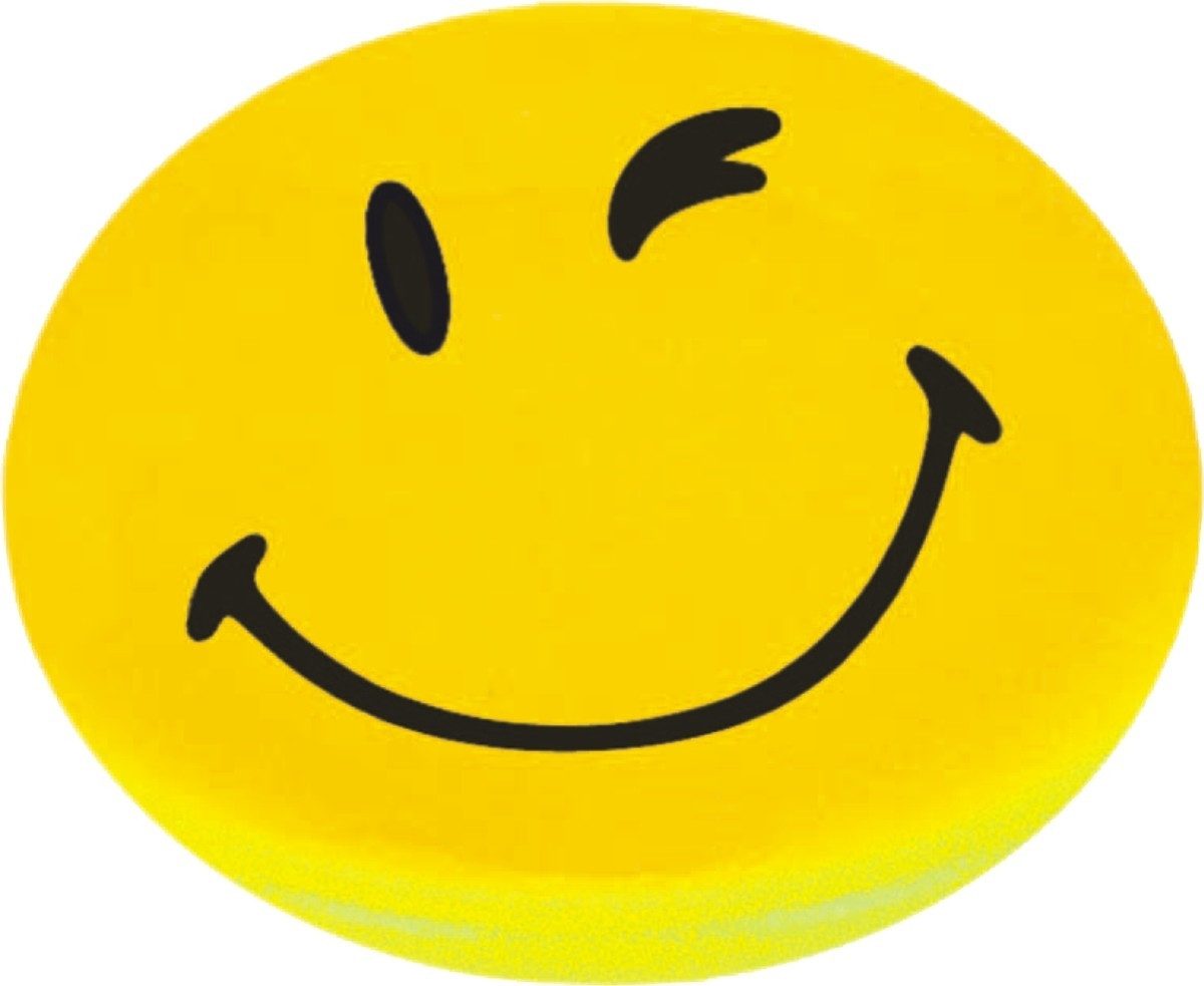 FRANKEN Magnet Haftmagnet 40mm 1500g Haftkraft VE=4 Stück