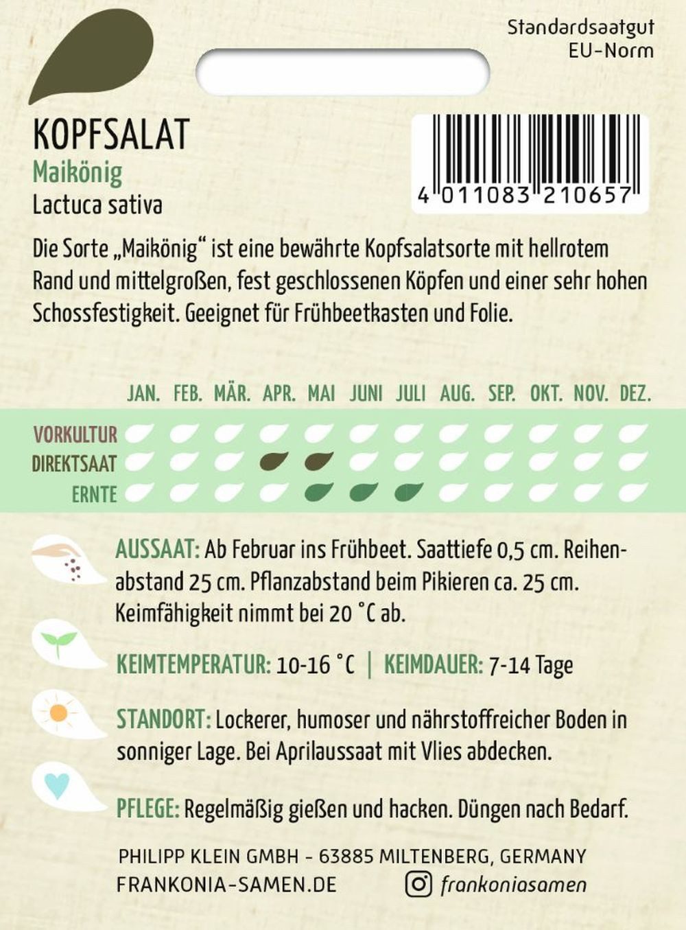 FRANKONIA Gemüsesamen Kopfsalat, Maikönig - Saatgut Salat-Samen Samen, Lactuca sativa – Bild 2 von 2