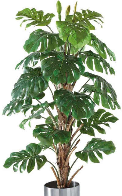 Kunstpflanze »Philo-Baum«, Schneider, Höhe 180 cm