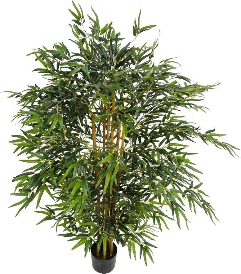 Kunstpflanze »Bambusbaum«, Schneider, Höhe 160 cm-kaufen