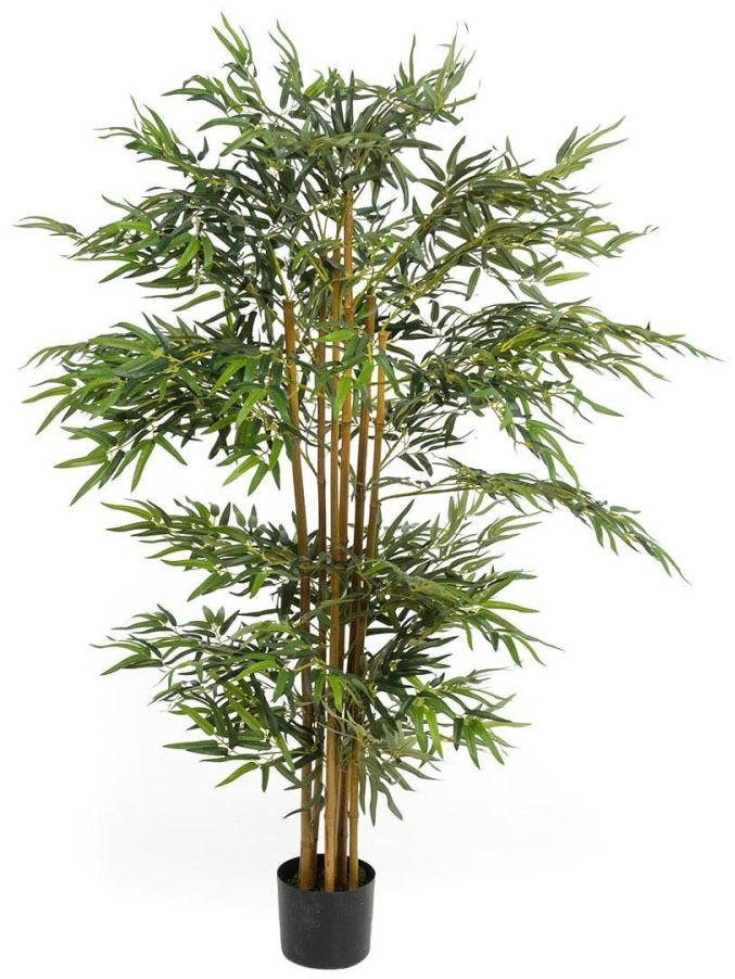 Kunstpflanze »Bambusbaum«, Schneider, Höhe 160 cm-Otto