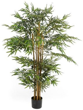 Kunstpflanze »Bambusbaum«, Schneider, Höhe 160 cm