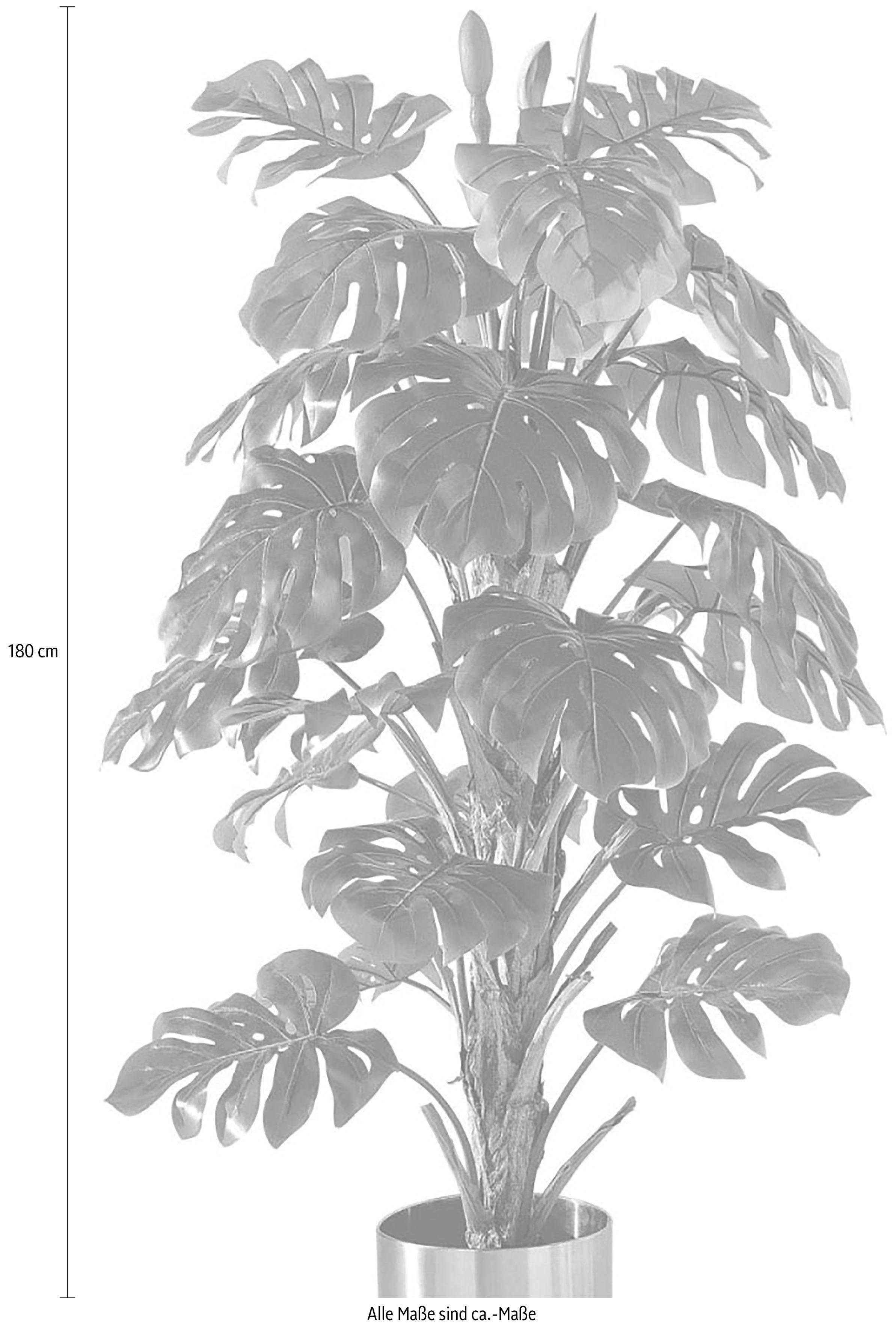 Kunstpflanze »Philo-Baum«, Schneider, Höhe 180 cm-Otto