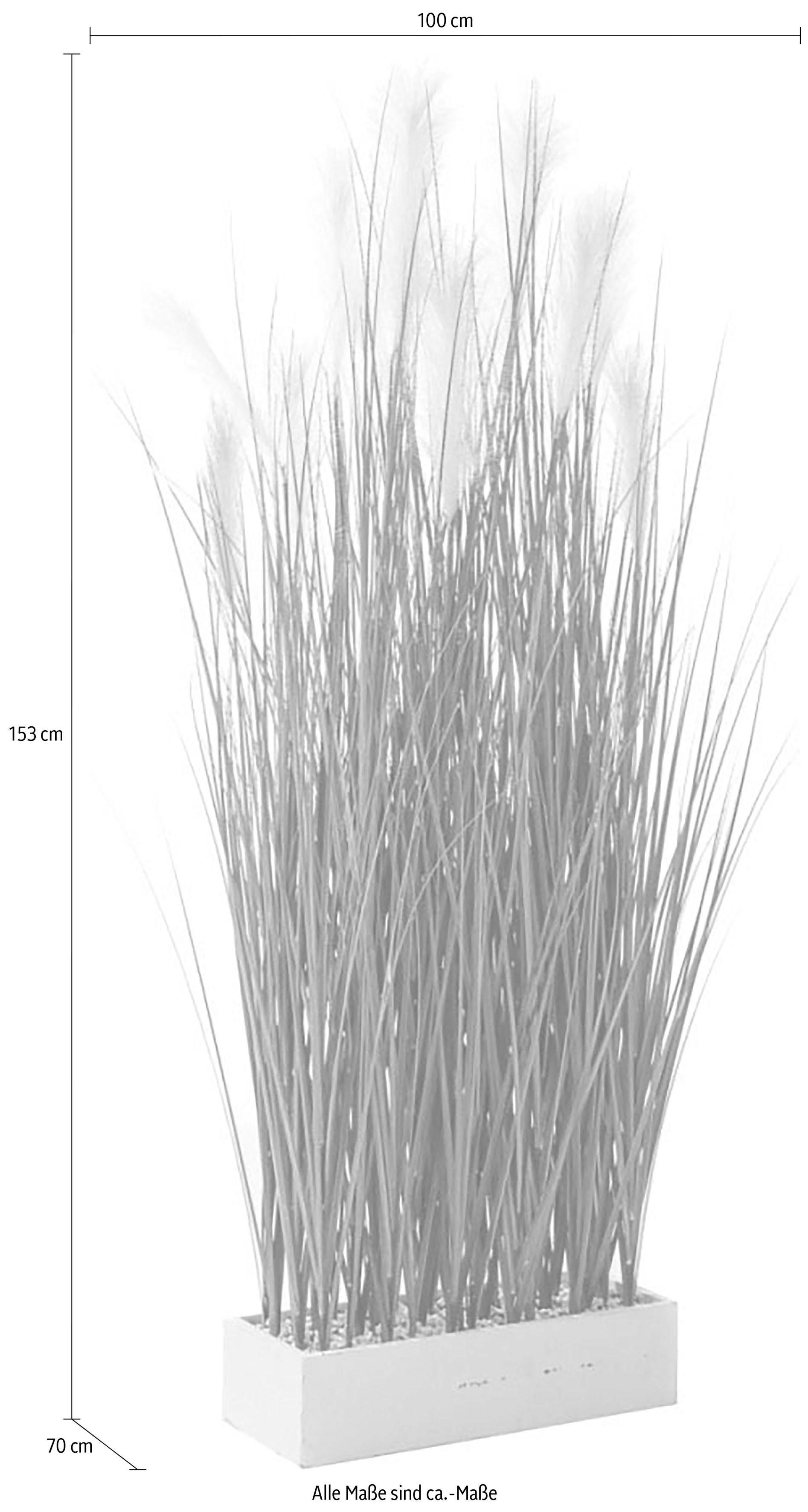 Kunstpflanze »Raumtrenner-Gras««, Schneider, Höhe 153 cm-kaufen