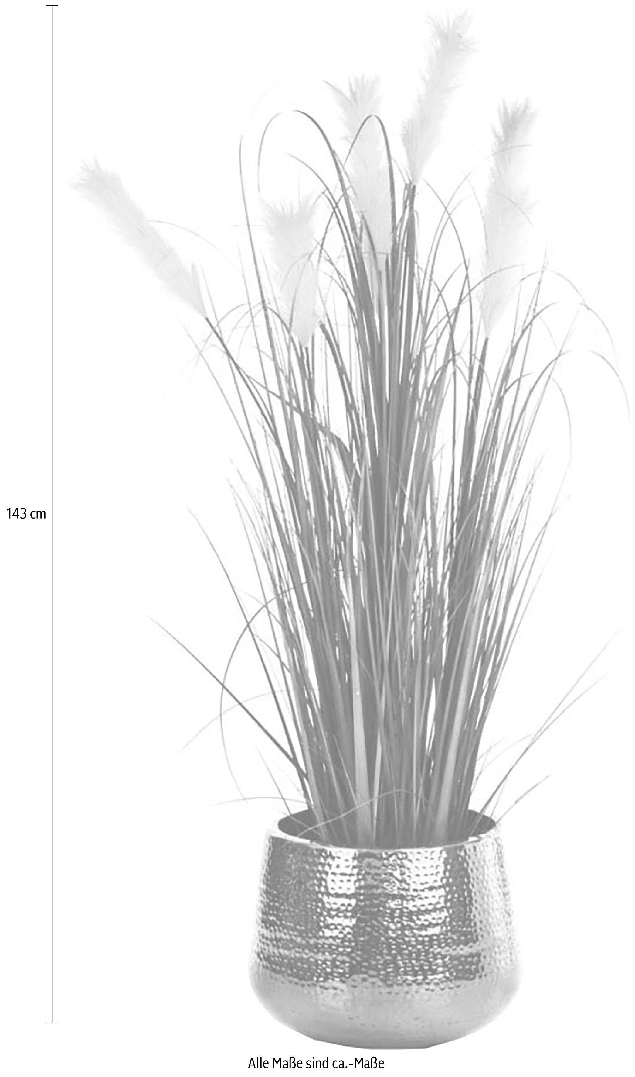 Kunstpflanze »Wildgras«, Schneider, Höhe 143 cm-kaufen