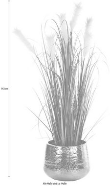 Kunstpflanze »Wildgras«, Schneider, Höhe 143 cm