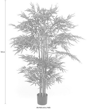 Kunstpflanze »Bambusbaum«, Schneider, Höhe 160 cm