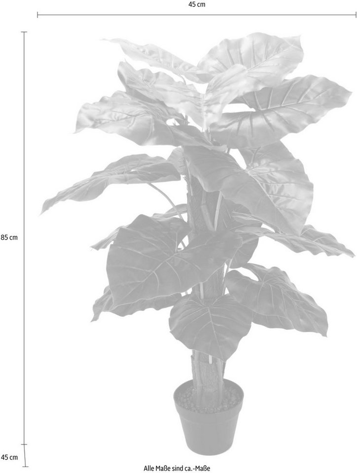 Kunstpflanze Philopflanze, I.GE.A., Höhe 84 cm-HomeTrends