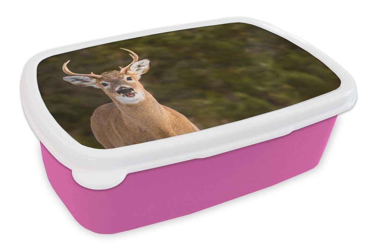 Brotbox Hirschkopf - Snackbox, MuchoWow Kinder, Hirsche rosa Natur, Lunchbox Erwachsene, Kunststoff Kunststoff, - für Mädchen, (2-tlg), Brotdose