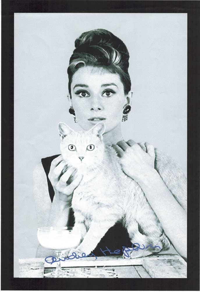 Dekospiegel KS132 Hepburn, Audrey - Katze - Bedruckter Spiegel