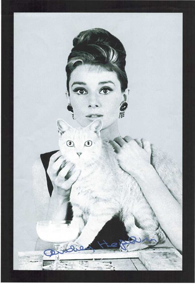 Dekospiegel KS132 Hepburn, Audrey - Katze - Bedruckter Spiegel