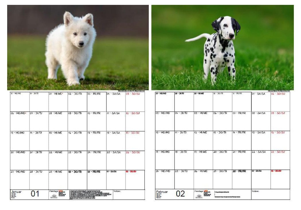 Thumbnail - Seelenzauber Wandkalender Welpenzauber Wand- Planer Kalender für 2025 DIN A3 Hunde
