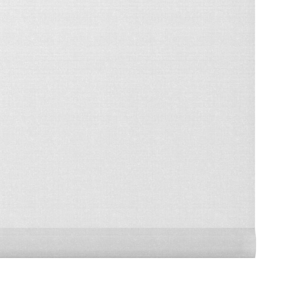 | cm, Weiß Weiß Rollo Rollo 190 Lichtdurchlässig Decosol Weiß x 60