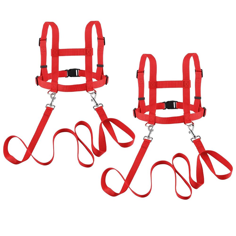 CLTYQ Spielzeug-Gartenset 2 Stück Pferdeleinen Rot Pferdegeschirr für Kinde günstig online kaufen