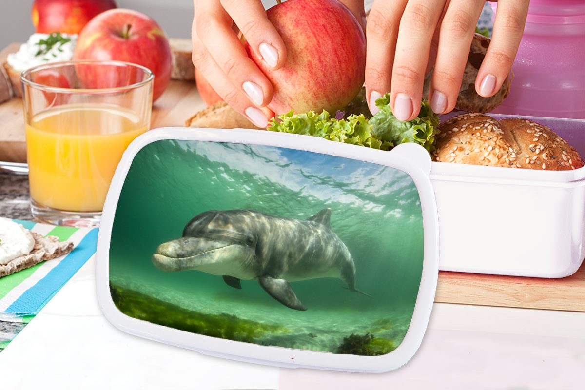 Tiere Kunststoff, Brotdose, - Kinder und und Lunchbox Delfin Brotbox Jungs für Mädchen Erwachsene, - für (2-tlg), MuchoWow Wasser, weiß