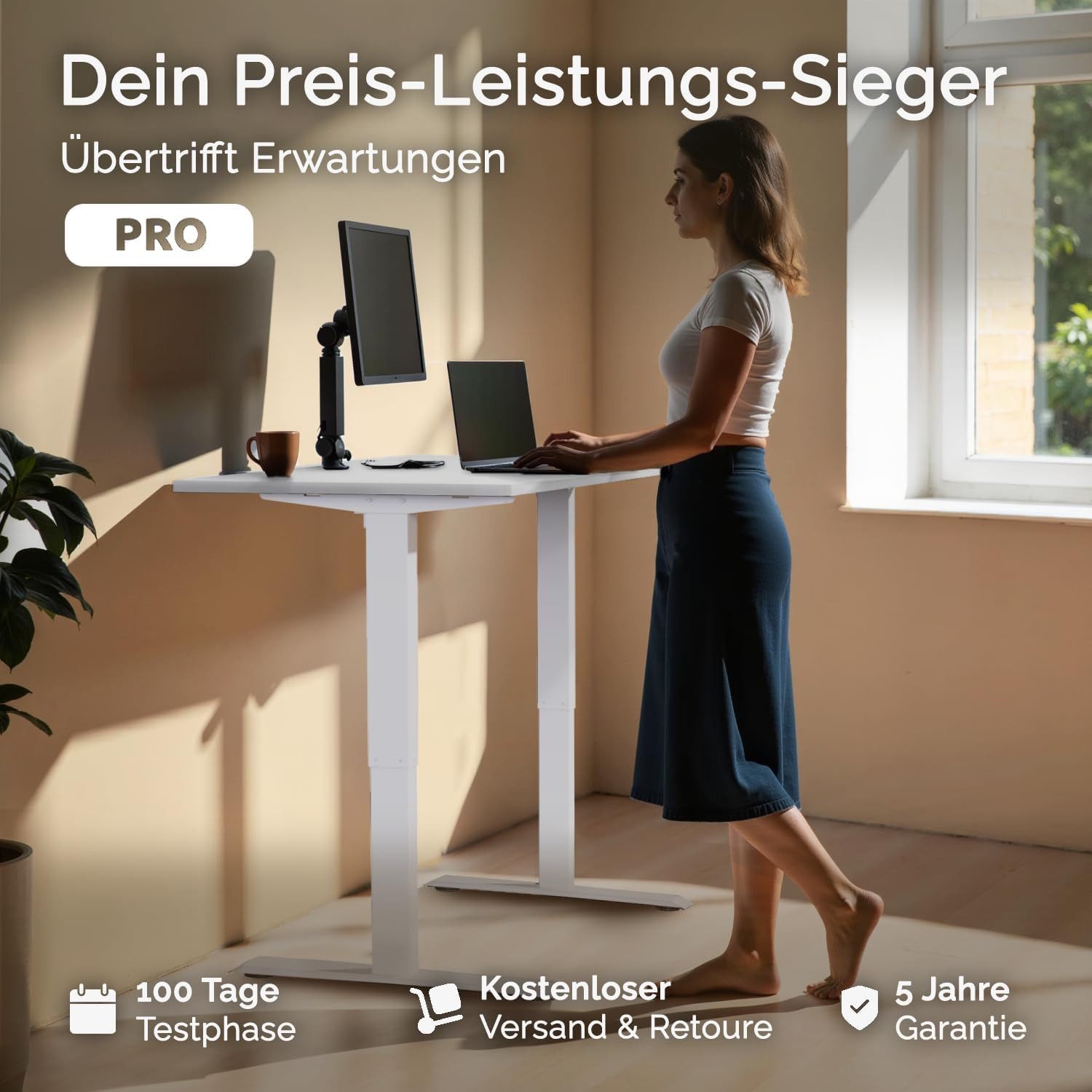 DESKSPACE Tischgestell Pro Höhenverstellbares Tischgestell mit USB, Memory & Kollisionsschutz (Einzelartikel), Elektrisch höhenverstellbar, Memoryfunktion, USB, Kollisionsschutz
