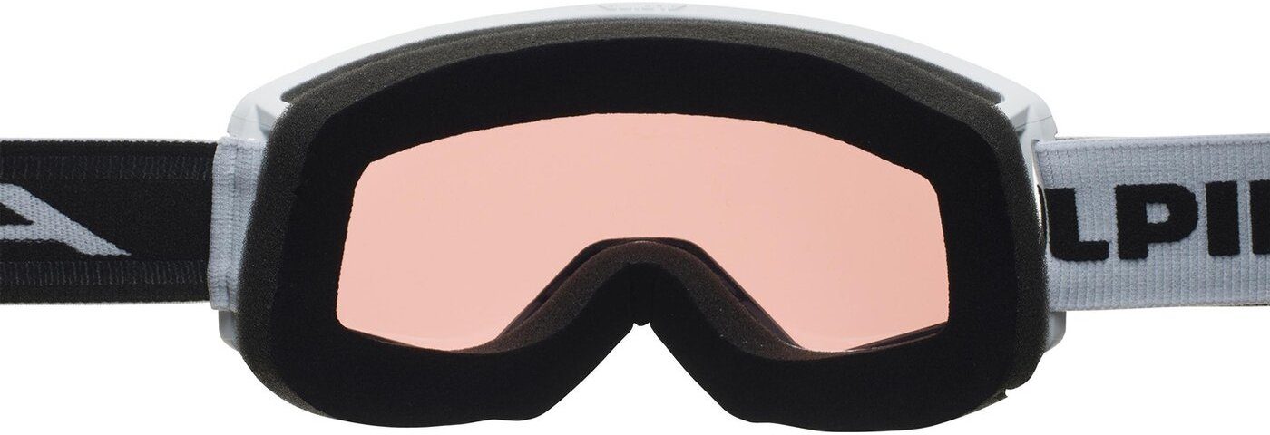 Alpina Sports Skibrille NARKOJA Q WHITE MATT