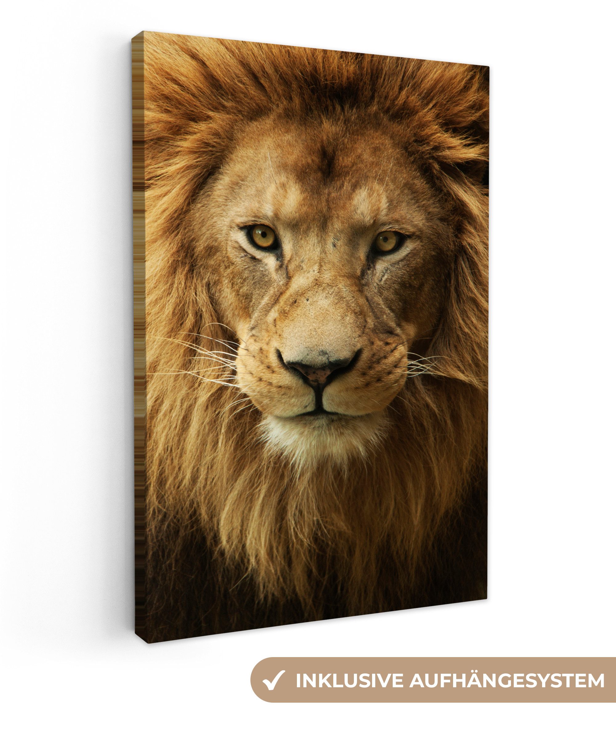 OneMillionCanvasses® Leinwandbild Porträt - Afrika - Löwe, Fotodruck (1 St) günstig online kaufen