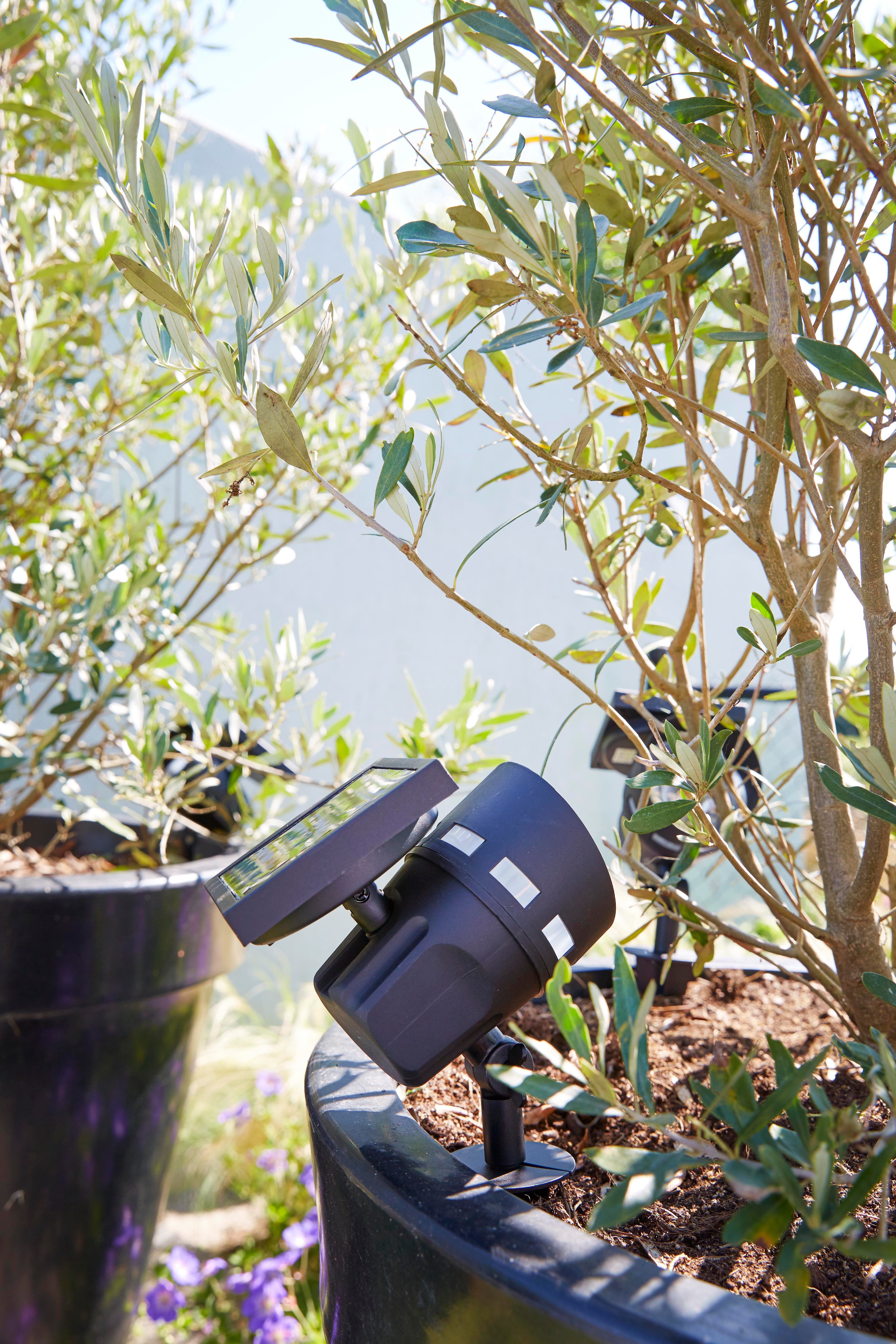 Luxform Gartenstrahler Solar-Intelligente Hybrid-Erdspießleuchte -Montana, günstig online kaufen
