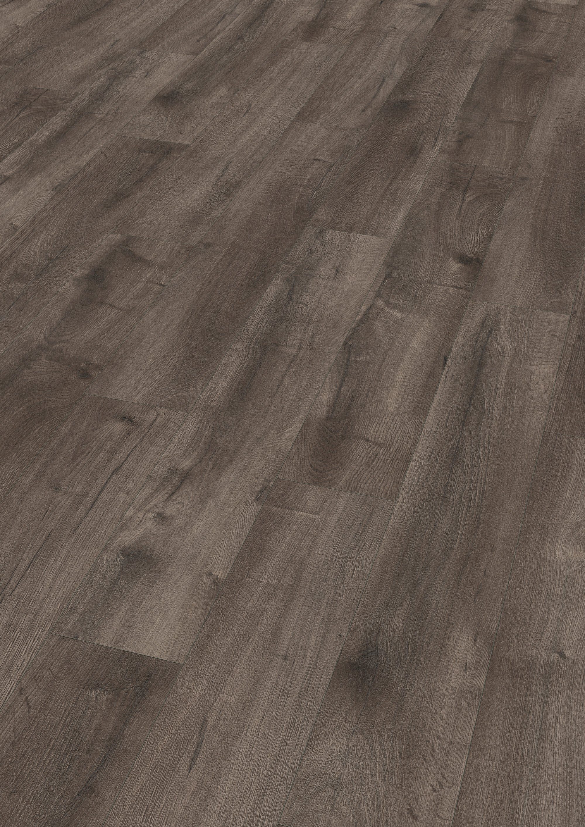 EGGER Laminat EHL144 Loja Eiche grau, (8mm, 1,995m),Praktisch & wertbeständ günstig online kaufen