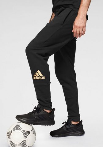 ADIDAS PERFORMANCE Брюки для бега »SOLID брюки CT&l...