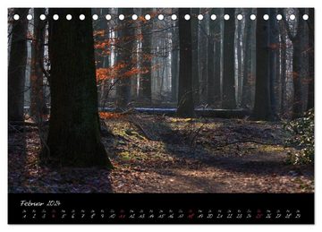 CALVENDO Wandkalender Wald (Tischkalender 2024 DIN A5 quer), CALVENDO Monatskalender