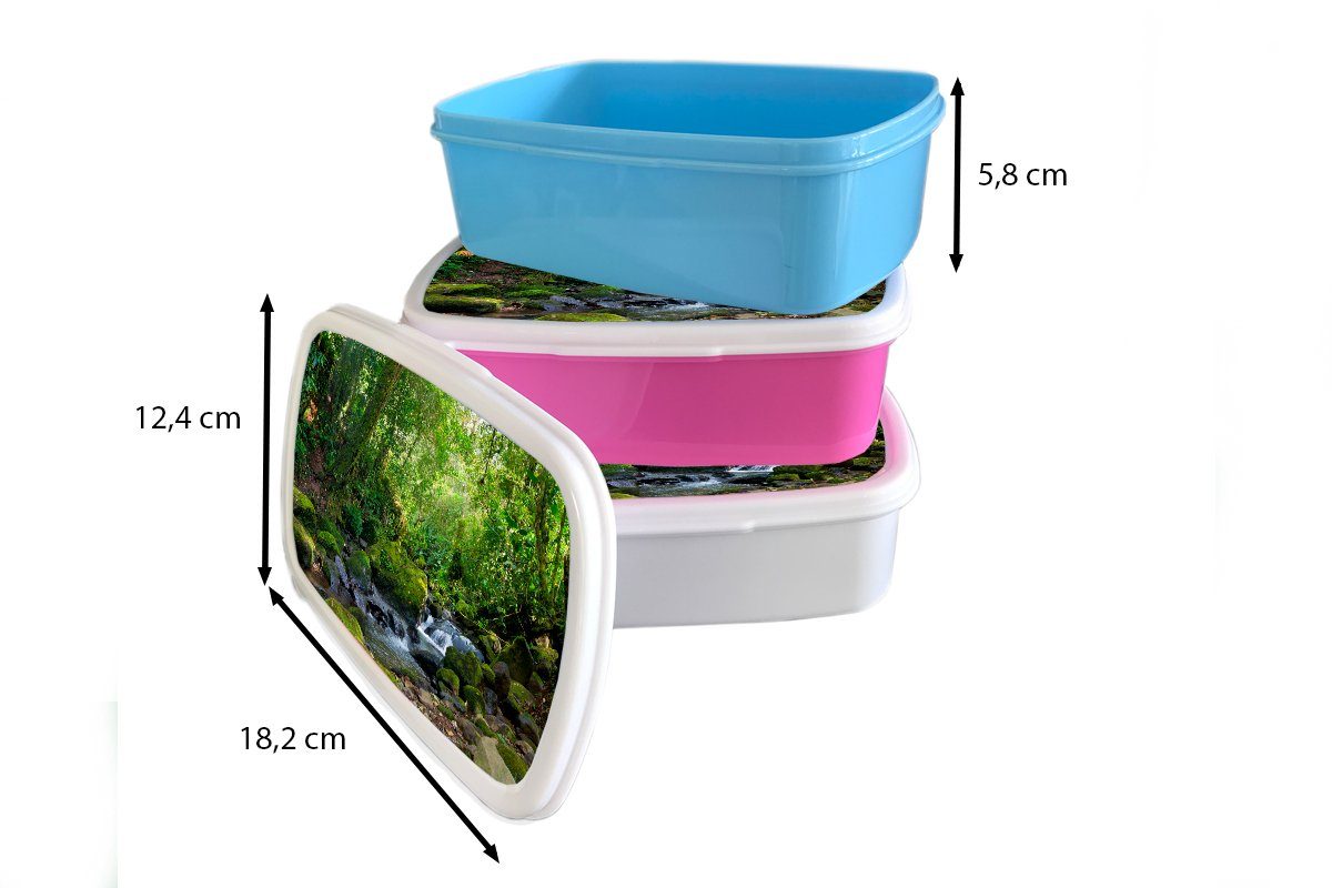 Brotdose, MuchoWow für und Erwachsene, Mädchen (2-tlg), Jungs Kinder für Kunststoff, und Creek, Lunchbox weiß Rainforest Brotbox